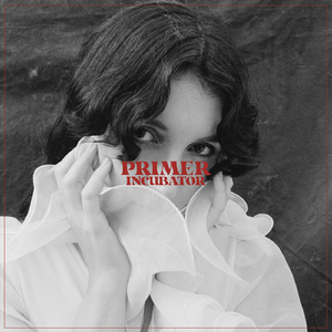 孙保罗2024年讲道全部
