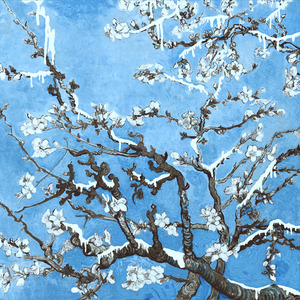 chinese农村小姑娘操逼视频
