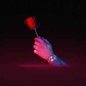 顺子日大婶小说最
