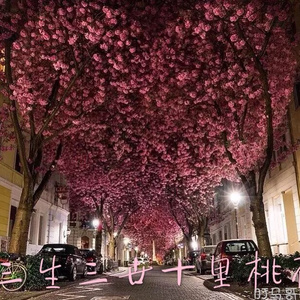 虞雯人体艺术写真
