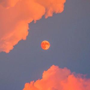 成人🔞高潮片免费网站小玩具
