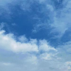 Ai金晨被❌到喷水18禁网站
