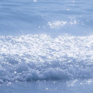 孙保罗2024年讲道全部
