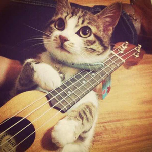 国产老头和老妇BBBBB毛片
