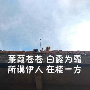 免费九七人人橾人人爱
