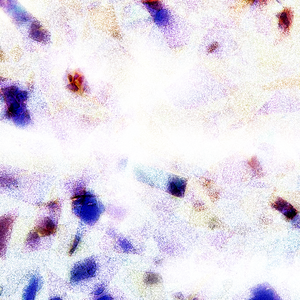 免费九七人人橾人人爱
