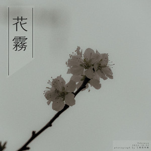 91小资源视频在线观看
