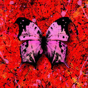 孙保罗2024年讲道全部
